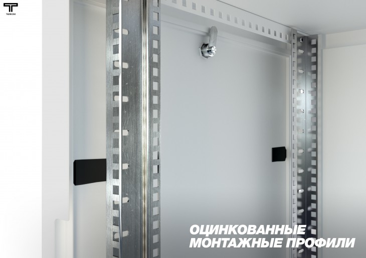 ТЕЛКОМ TLN-12.6.10-СП.7035Ш Шкаф напольный 12U 600x1000x623мм (ШхГхВ) телекоммуникационный 19", передняя дверь стеклянная - задняя дверь перфорированная, цвет серый (RAL7035Ш) (4 места)