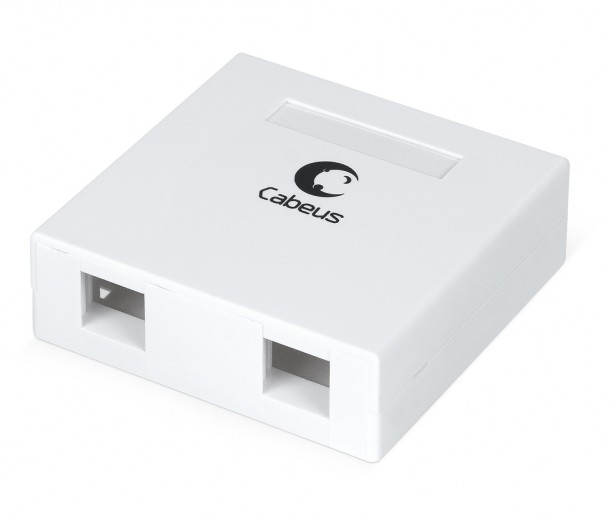 ТЕЛКОМ RS-01 Абонентская оптическая розетка на 2 порта SC/DLC (размер 85x85x24мм) (без пигтейлов и проходных адаптеров)