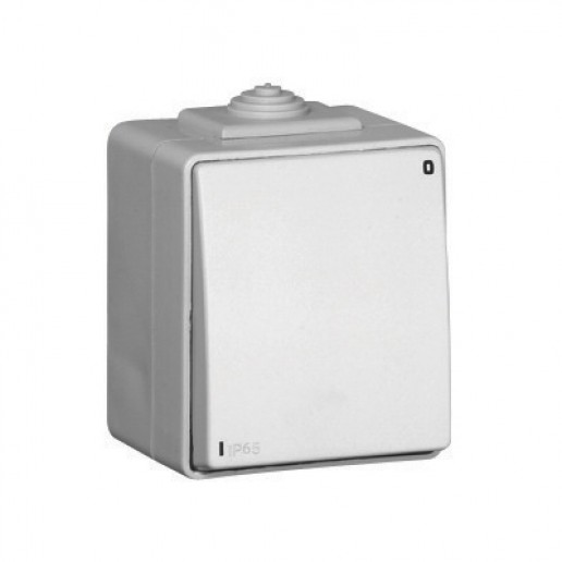 Efapel 48021 CCZ Одноклавишный выключатель двухполюсный, серый, Серия 48 WATERPROOF (IP 65) влагозащищенная