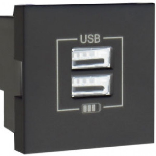 Efapel 45439 SPT Розетка USB двойная, зарядная, черный глянец